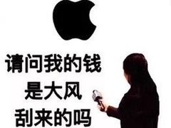 -Apple零售店(成都太古里店)