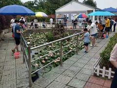 -汤山欢乐水世界