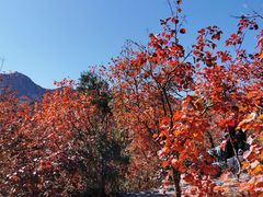 -周口店坡峰岭风景区