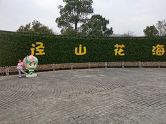 -径山花海