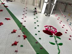 -绿壁虎攀岩基地(Tcar店)