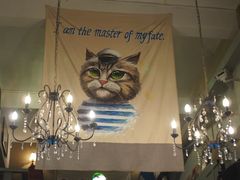 -猫咪博物馆(顶澳仔猫街店)