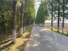 -嘉北郊野公园