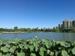 -燕郊植物园