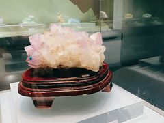 -青岛市博物馆