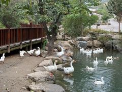 -云丘山景区