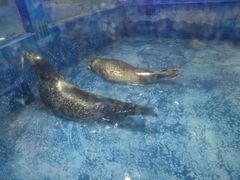 -重庆欢乐海底世界