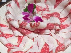 -十二月·宁夏盐池滩羊肉火锅