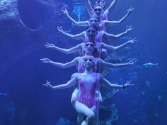 -多彩贵州城极地海洋世界