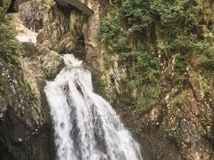 -龙湾潭国家森林公园