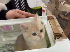 -佳雯宠物医院·皮肤科·内外科(春晓路分院)