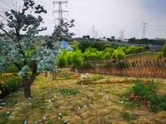 -紫颐香薰山谷景区