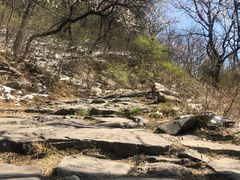 -阳台山自然风景区