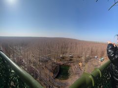 -黄海国家森林公园