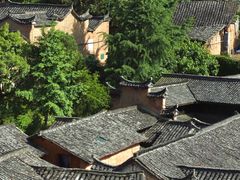 -杨家堂村