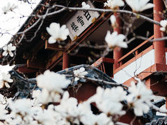 -趵突泉景区