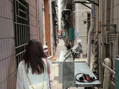 -黄记潮汕甜汤(贝底田坊店)