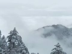 -西岭雪山大飞水景区