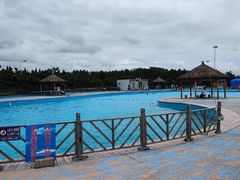 -日照海滨国家森林公园
