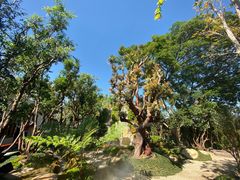 -Chom Cafe and Restaurant