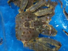 -清水湾3号(东方小周海鲜店)