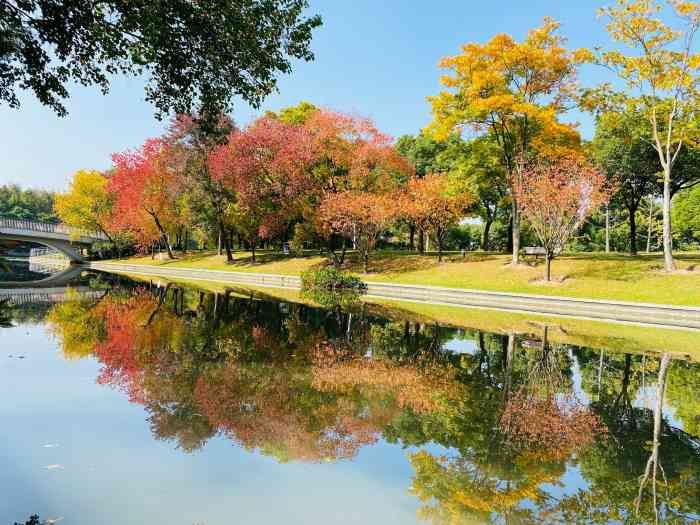 华翔绿地-"天气好,温度适宜,带娃好去处969694.