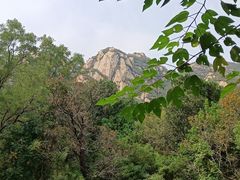 -北京凤凰岭