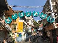 -猫咪博物馆(顶澳仔猫街店)