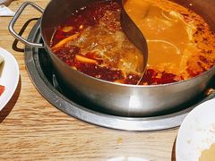-青瓷火锅料理(西单大悦城店)