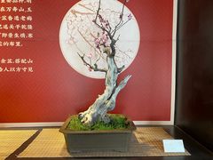 -颐和园