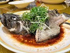 清蒸深海石斑-南海渔村·空中一号