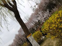 -西安青龙寺遗址景区