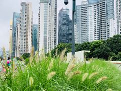 -诺莱仕游艇会