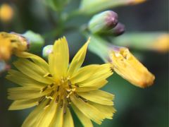 -苏州河梦清园环保主题公园