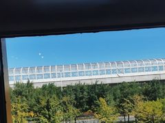 -比格比萨自助(沙河店)