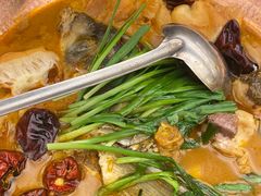 -饭怕鱼·黄焖鲟龙鱼(湖大店)