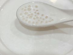 椰汁西米露-正德顺順德雙皮奶(中信店)