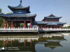 -雁滩公园