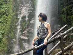 -莫里热带雨林景区