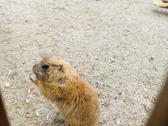 -杭州千岛湖开元度假村