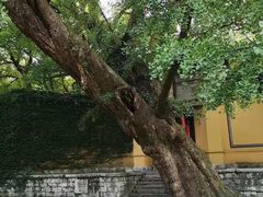 -无锡惠山寺