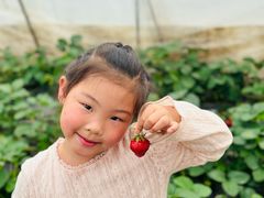 -小鱼草莓采摘园农家乐·小鱼餐厅