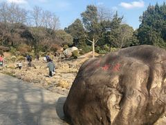 -无锡梅园公园