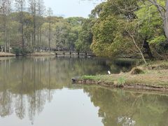 -潮府馆·非遗潮州菜·港式点心(世纪公园店)