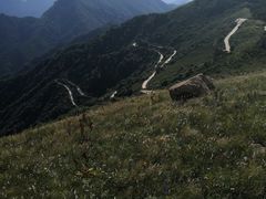 -白草畔自然风景区