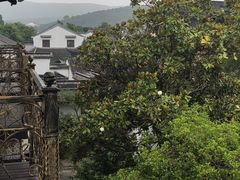 -苏州东山雕花楼宾馆