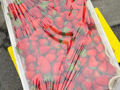-南京众彩农副产品配送有限公司
