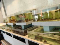 -至尊鲨鱼·原烹海鲜·新浙菜(拱宸桥店)