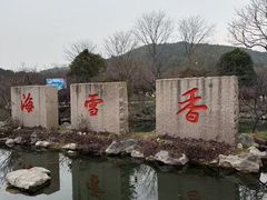 -香雪海