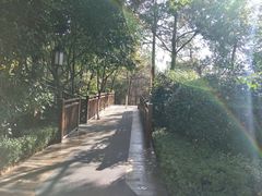 -天目湖涵田半山温泉
